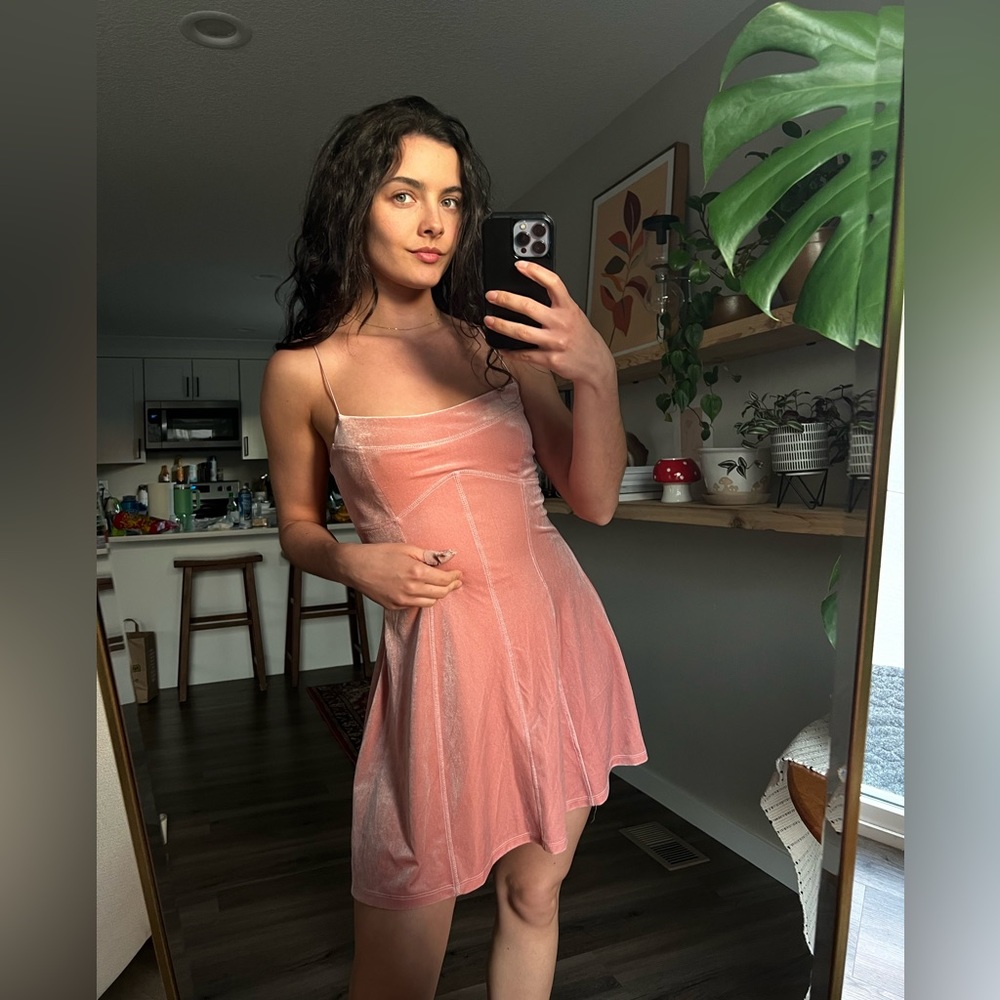 Urban Outfitter Velvet Pink Skater Dress